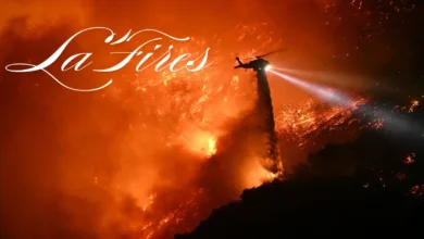 la fires